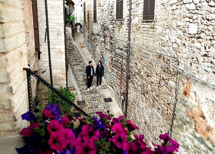 Domus Flora Guest House