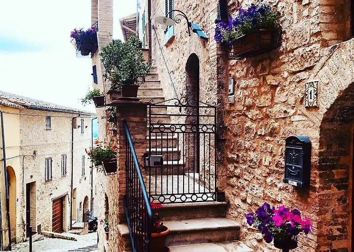 Domus Flora Guest House